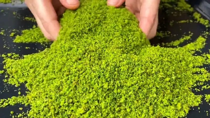 فستق حلبي مطحون تركي