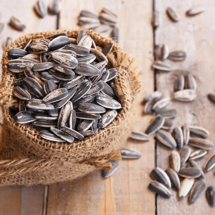 بذور عباد الشمس