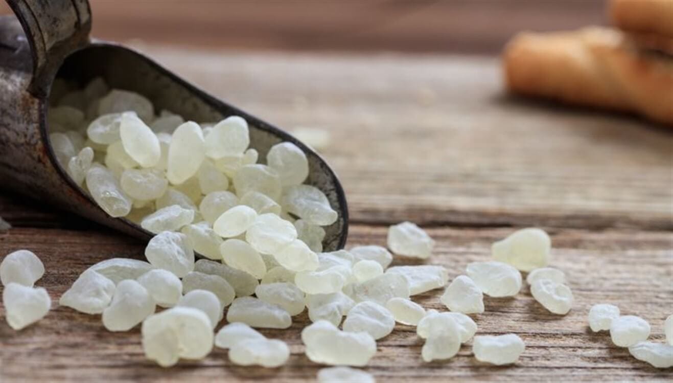 معجون المستكة