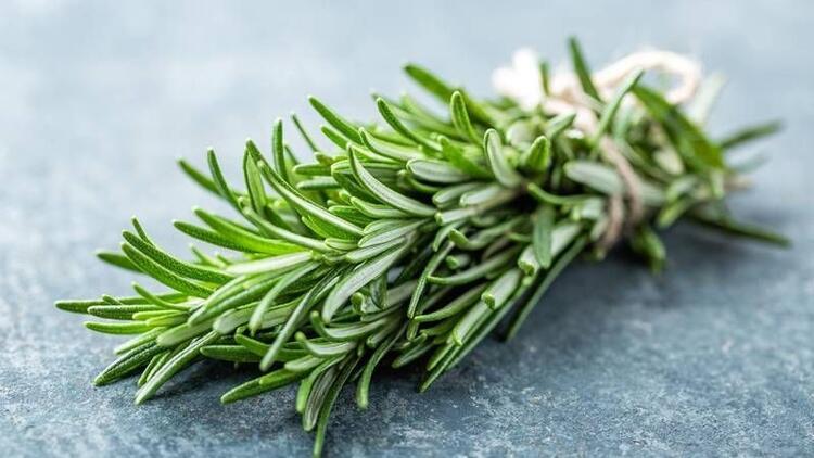 اكليل الجبل