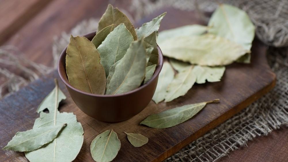 ورق غار مجفف