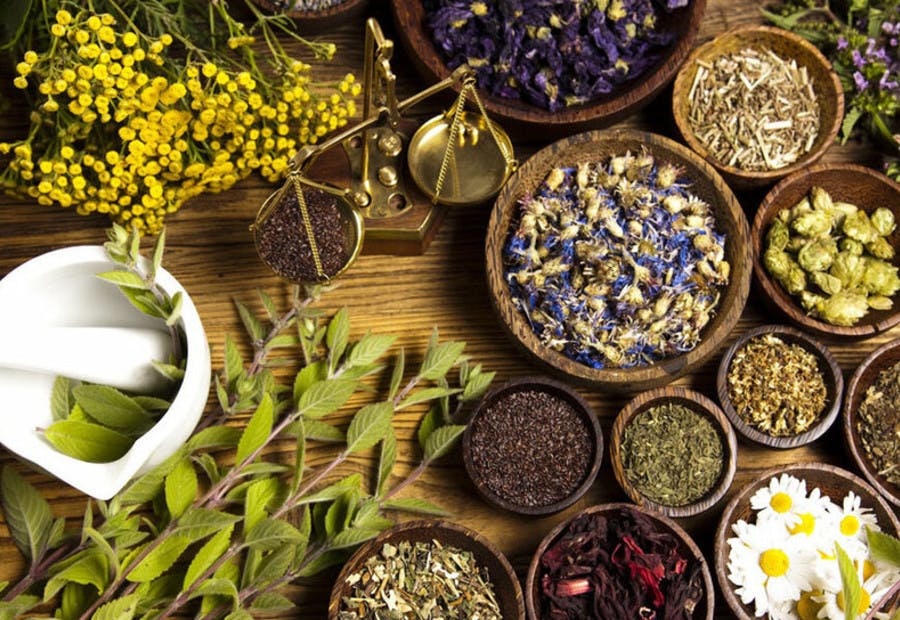 شامبو الاعشاب ضد القشرة