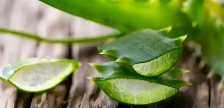 مكونات جل الصبار عضوي عارف اوغلو