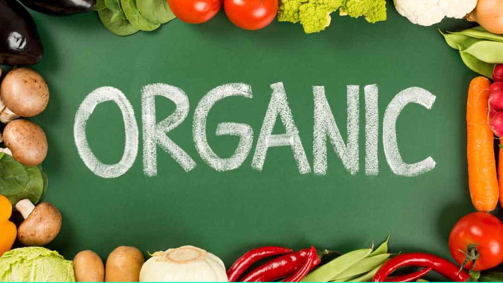 organic food on board fb 55662cbc11