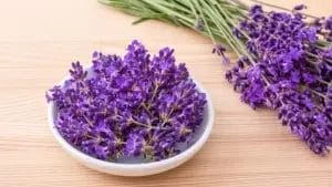 Soap lavender