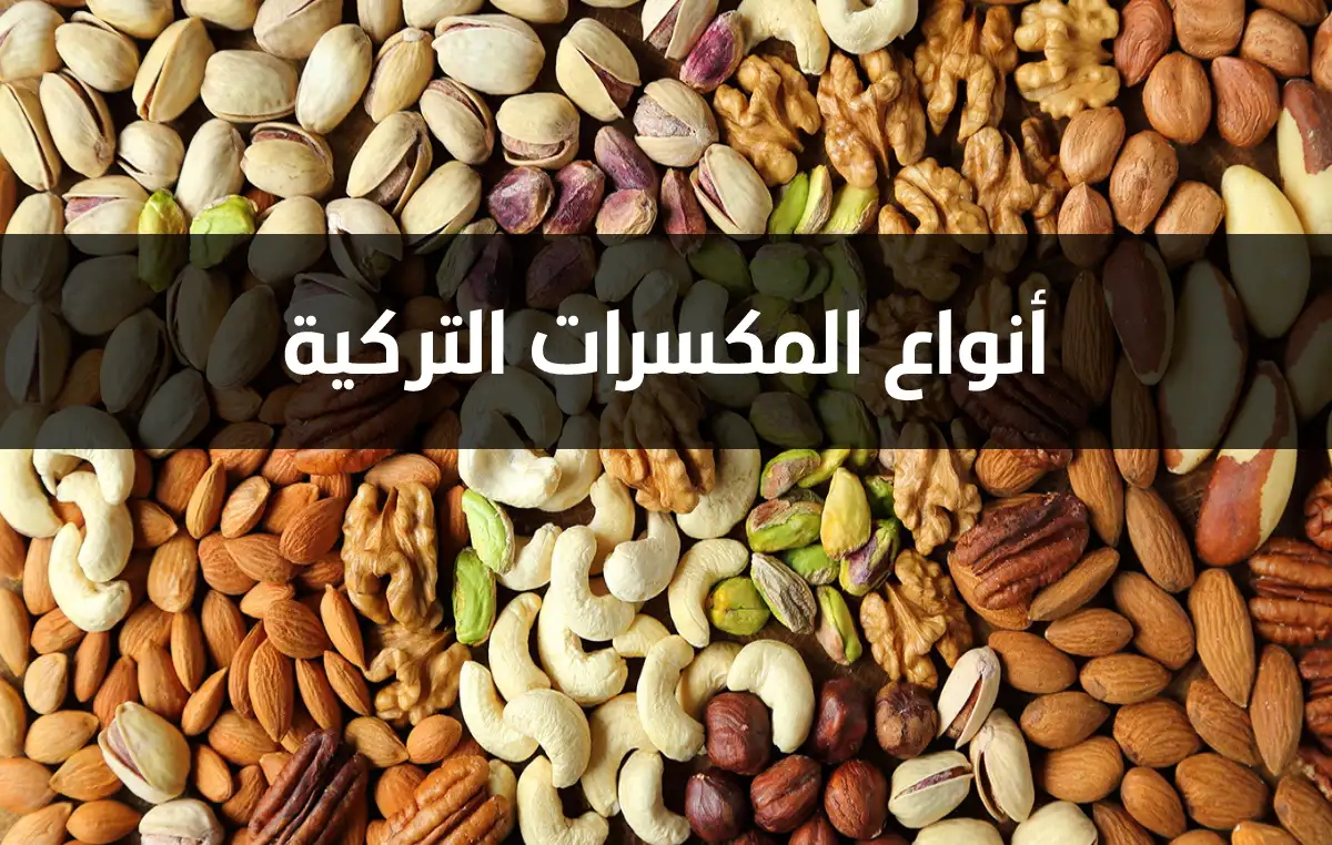 أنواع المكسرات التركية