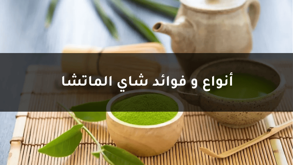 قالب باشا سراي 1 1