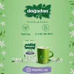 شاي أخضر بالياسمين 20 كيس - دوغادان