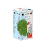 شاي الماتشا الأصلي